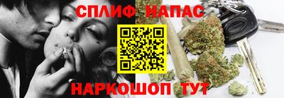 МДПВ Долгопрудный