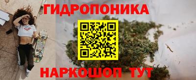 МДПВ Долгопрудный