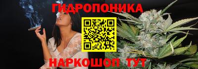 МДПВ Долгопрудный