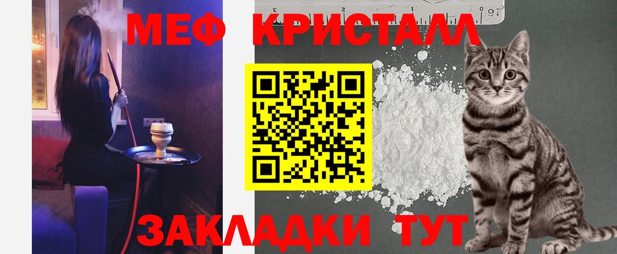 МЕФ  Брянск